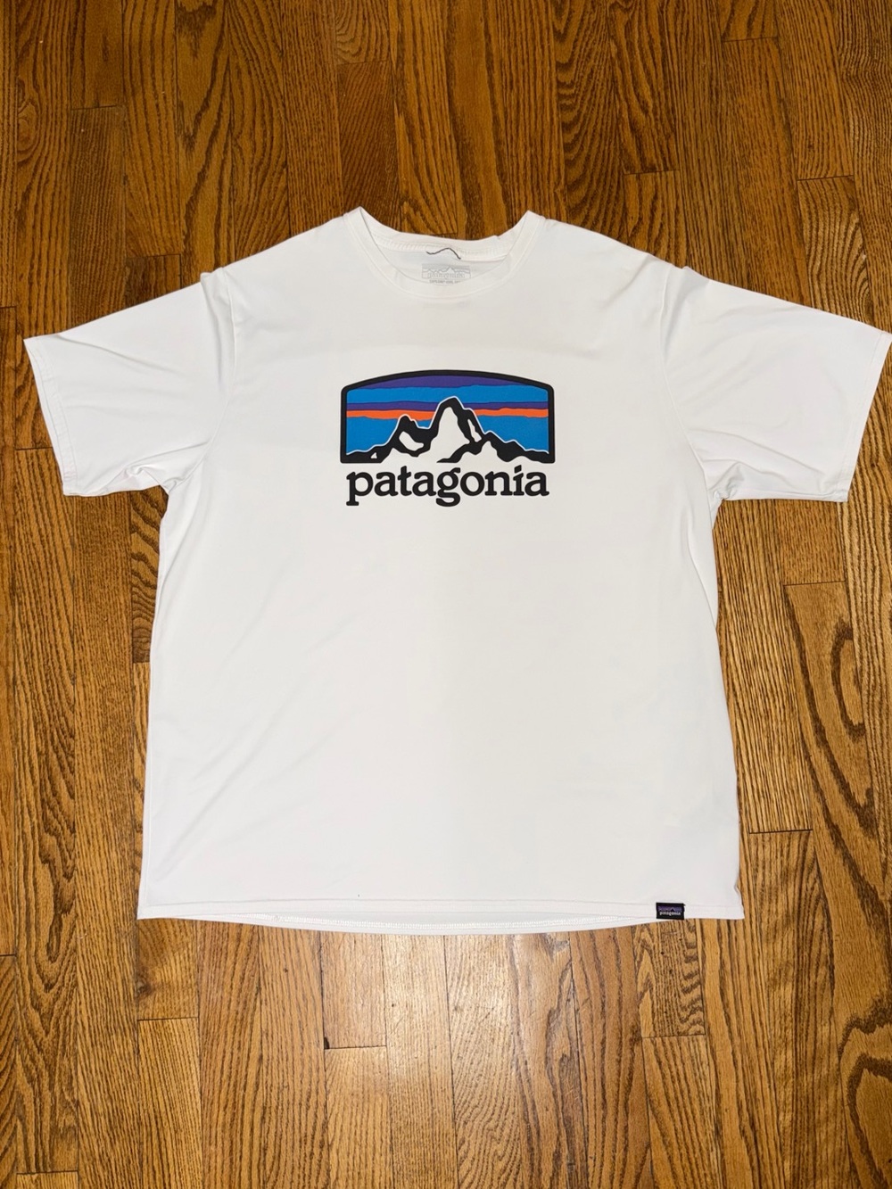 Patagonia Capilene Cool Daily Graphic Shirt White Fitz Roy Horizons Tee - size L